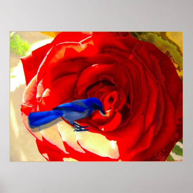 Red Red Rose and the Blue Blue Bird Poster (Front)