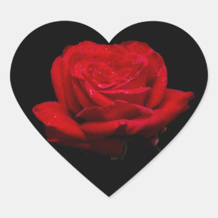 Red Red Rose Heart Sticker