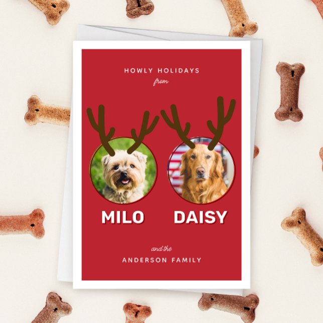 Red Reinpet 2 Photo Pet Christmas Holiday Folded (Folded two photo pet Christmas holiday card with message "Howly Holidays" with two sets of antlers)