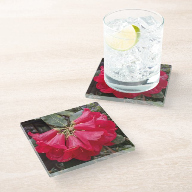 Red Rhododendron Blooms Floral Glass Coaster (Angled)