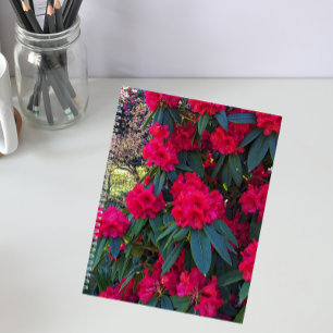 Red Rhododendron Blooms Floral Notebook