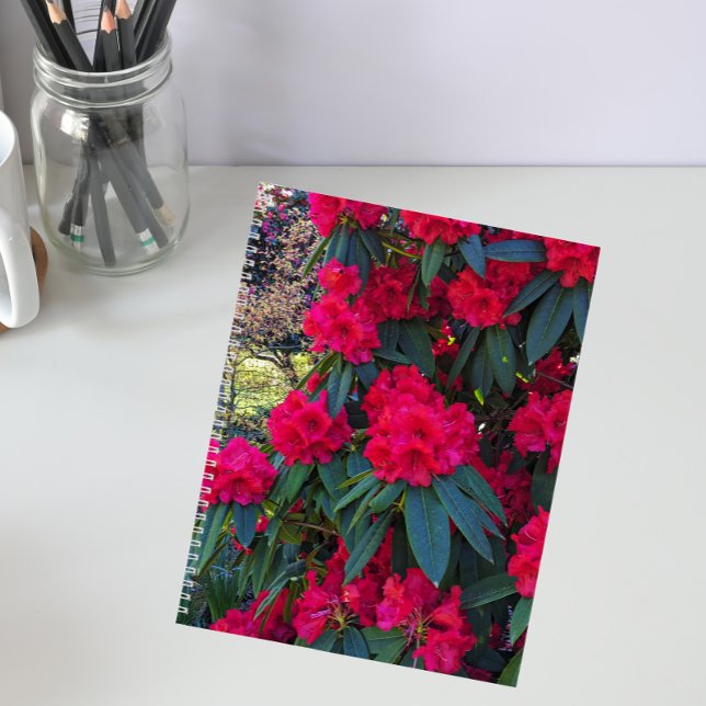 Red Rhododendron Blooms Floral Notebook (In Situ)