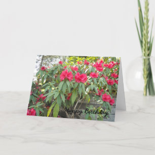 Red Rhododendron Card