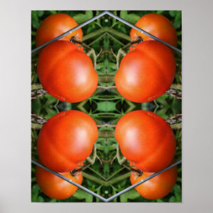 Red Ripe Garden Tomatoes On The Vine Abstract  Poster