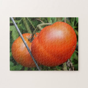 Red Ripe Garden Tomatoes On The Vine Nature Jigsaw Puzzle
