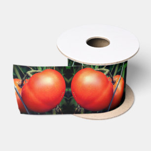 Red Ripe Garden Tomatoes On The Vine Satin Ribbon