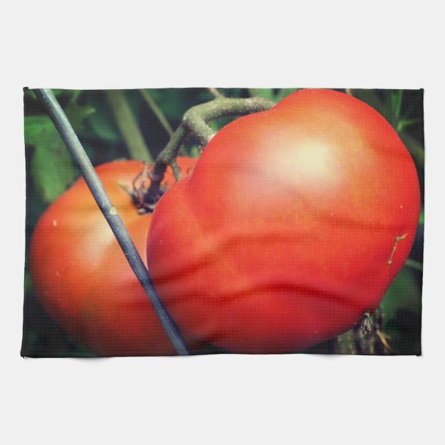 Red Ripe Garden Tomatoes On The Vine Tea Towel (Horizontal)