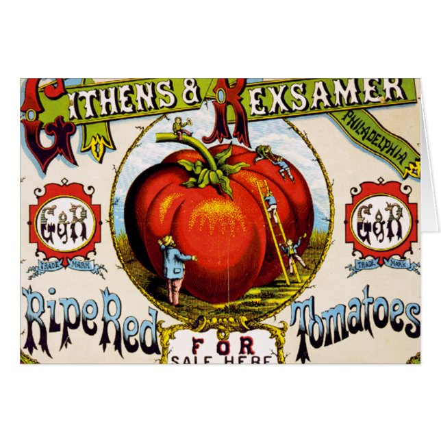 Red Ripe tomatoes For Sale - Vintage Ad (Front Horizontal)