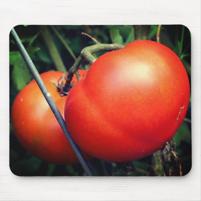 Red Ripe Tomatoes On The Vine Nature  Mouse Pad (Front)