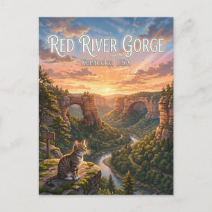 Red River Gorge Geological Area USA Postcard