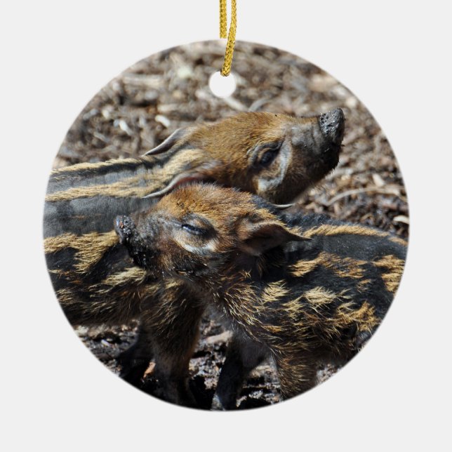 Red River Hog Ornament 2011 (Front)