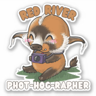 Red River Hog Photographer