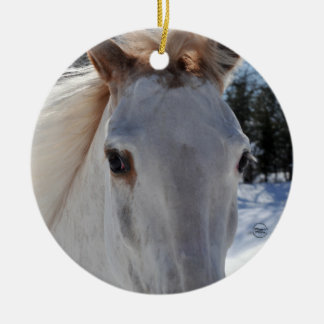 Red Roan Horse Eyes Ceramic Tree Decoration