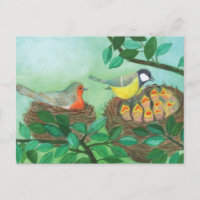 Red Robin and Great Tit Bird Nesting