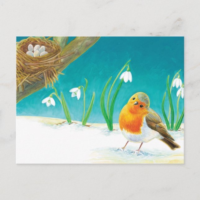 Red Robin Bird & snowdrops Illustration  Postcard (Front)