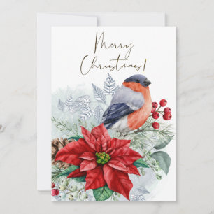 Red Robin Bird Watercolor Winter Christmas Holiday Card