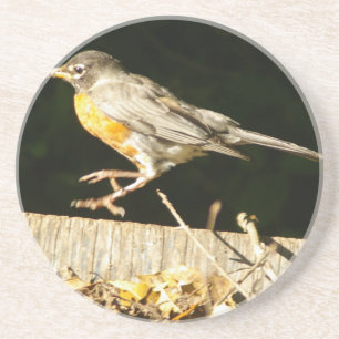Red Robin Bobbin Coaster