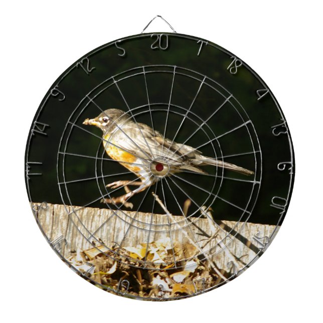 Red Robin Bobbin Dartboard (Front)