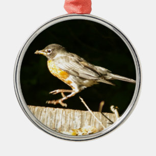 Red Robin Bobbin Metal Ornament