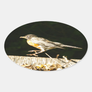 Red Robin Bobbin Oval Sticker