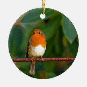 Red ROBIN Ceramic Tree Decoration