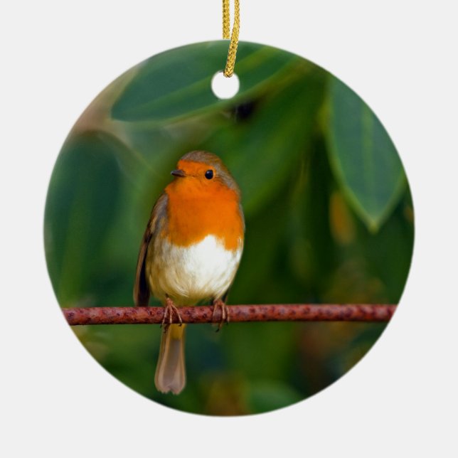 Red ROBIN Ceramic Tree Decoration (Front)