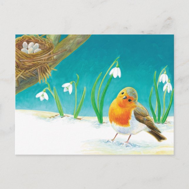 Red Robin & Early Spring Snowdrops Illustration Postcard (Front)
