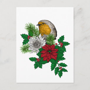 Red robin on Christhmas decoration Postcard