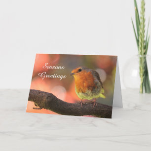 Red Robin Seasons Greeting Holiday Card