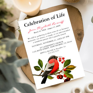 Red Robin   Spring Bird Celebration Of Life Invitation