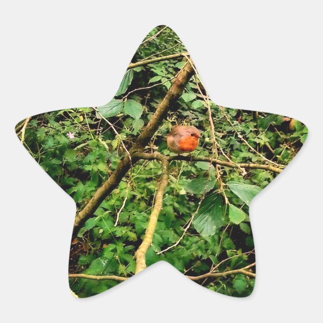 Red robin  star sticker (Front)