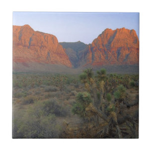 Red Rock Canyon National Conservation Area Ceramic Tile