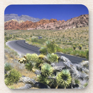 Red Rock Canyon National Conservation Area, Las Coaster