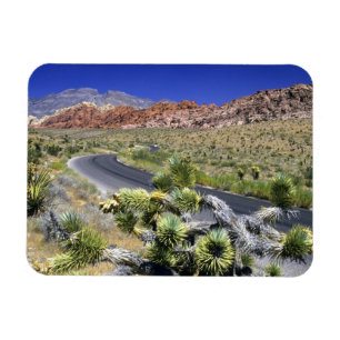 Red Rock Canyon National Conservation Area, Las Magnet