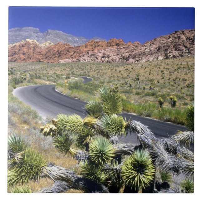 Red Rock Canyon National Conservation Area, Las Tile (Front)