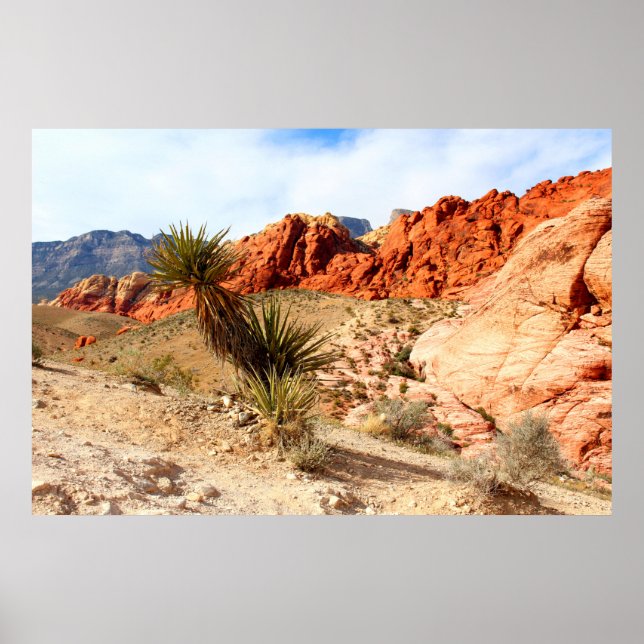 Red Rock Canyon Spring Mountains Background Poster (Front)