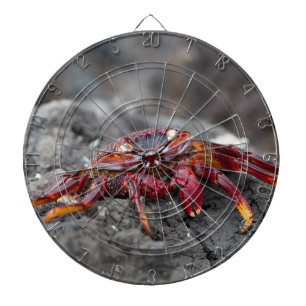 Red rock crab dartboard