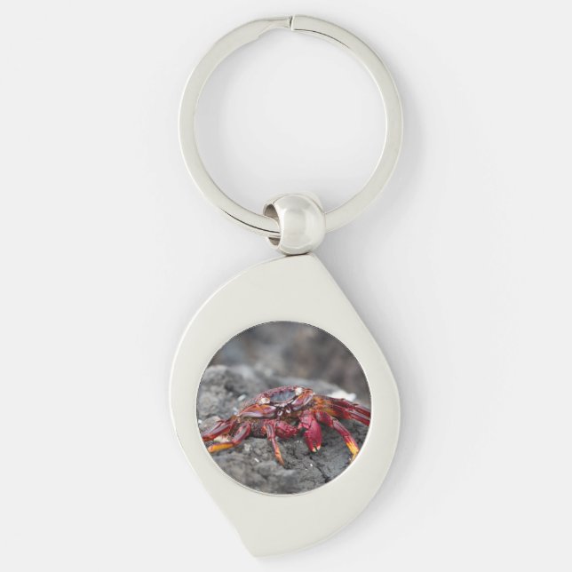 Red rock crab key ring (Front)