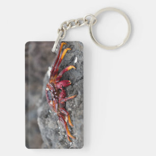 Red rock crab key ring