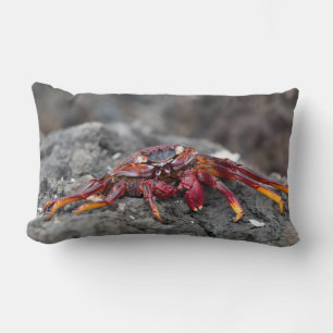 Red rock crab lumbar cushion