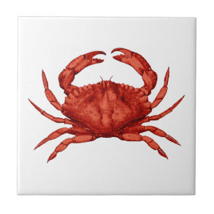 Red Rock Crab (Pacific) Tile