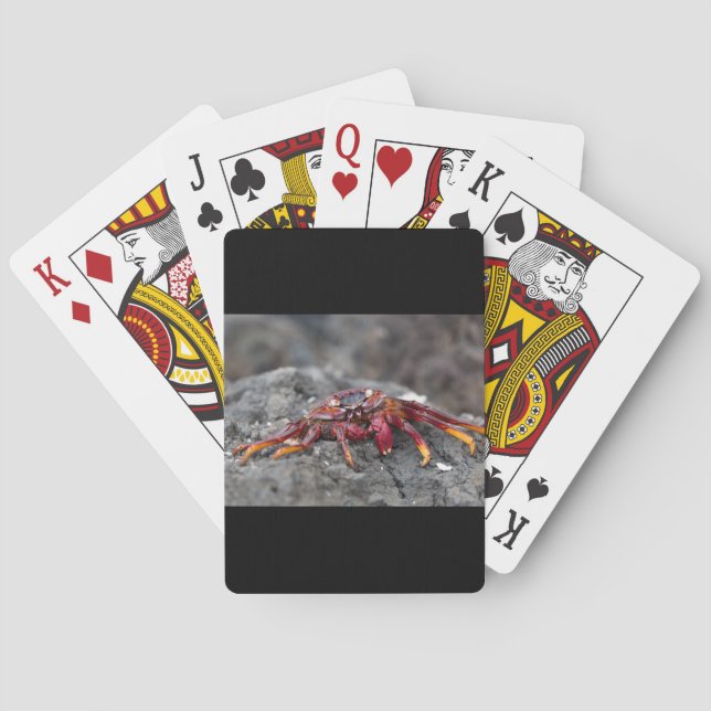Red rock crab playing cards (Back)