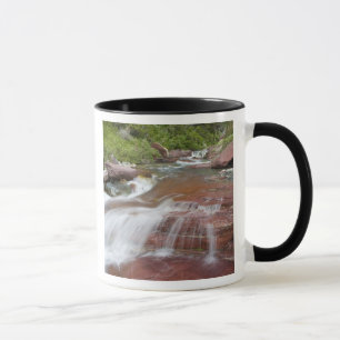 Red rock in Baring Creek in Glacier National Mug
