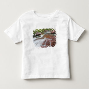 Red rock in Baring Creek in Glacier National Toddler T-Shirt