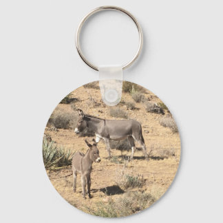 Red rock state park nv donkey key ring