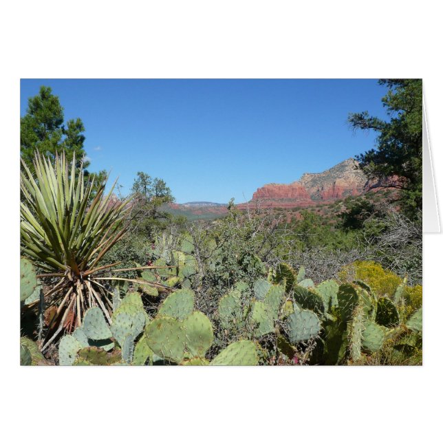 Red Rocks and Cacti I (Front Horizontal)