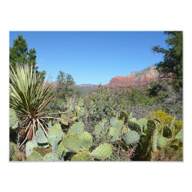 Red Rocks and Cacti I Photo Print (Front)
