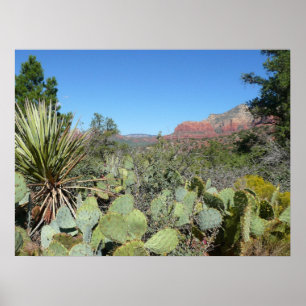 Red Rocks and Cacti I Poster