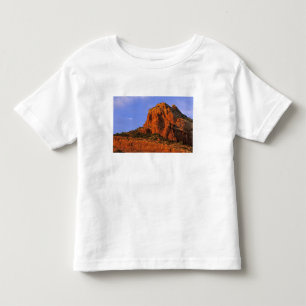Red Rocks at Sterling Canyon in Sedona Arizona Toddler T-Shirt