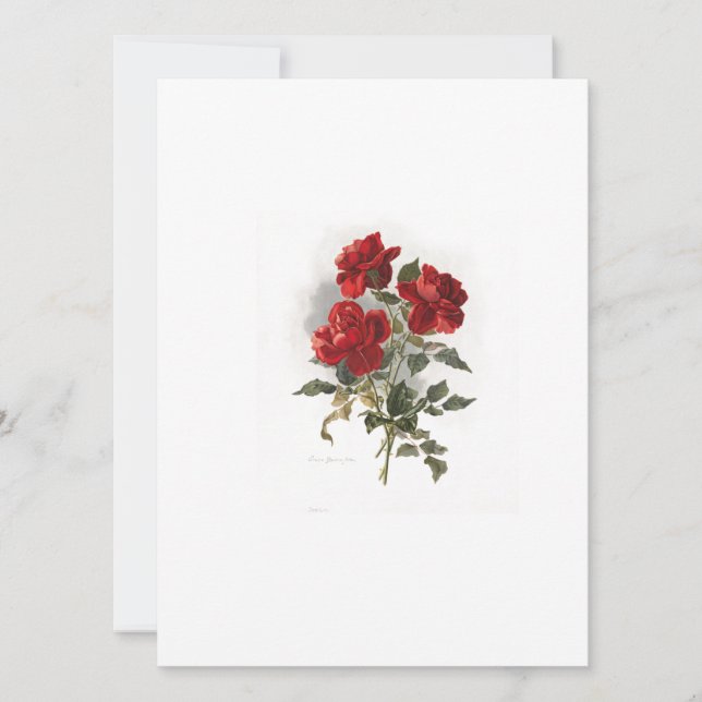Red Romantic Roses Invitation (Front)